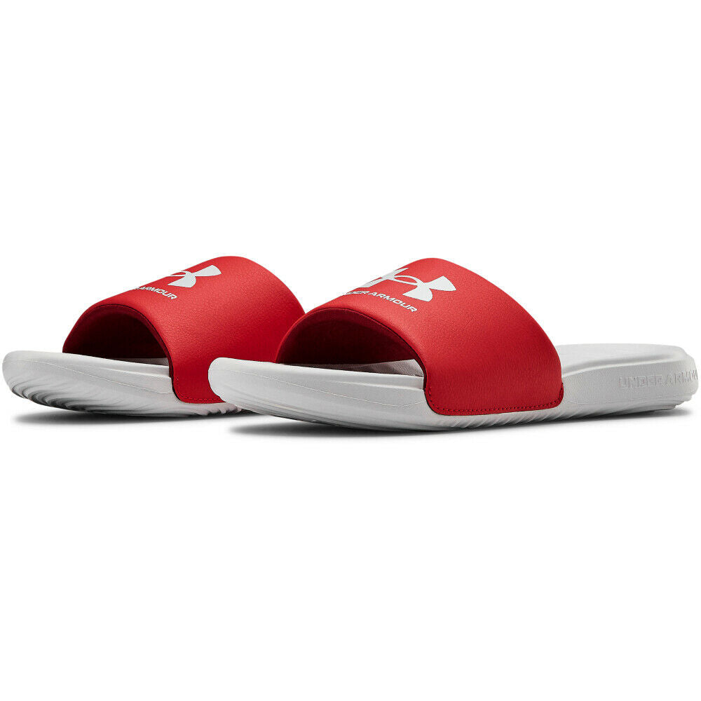 Halo Gray / Red