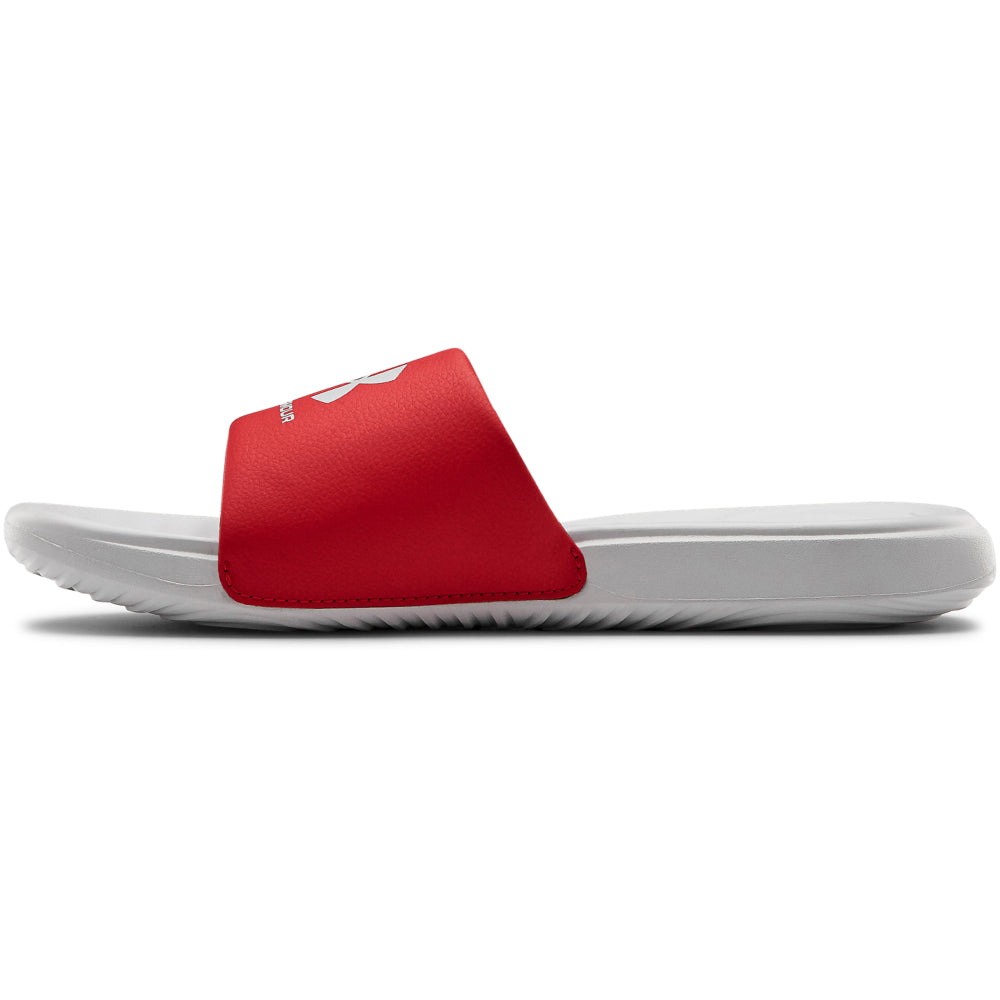 Halo Gray / Red