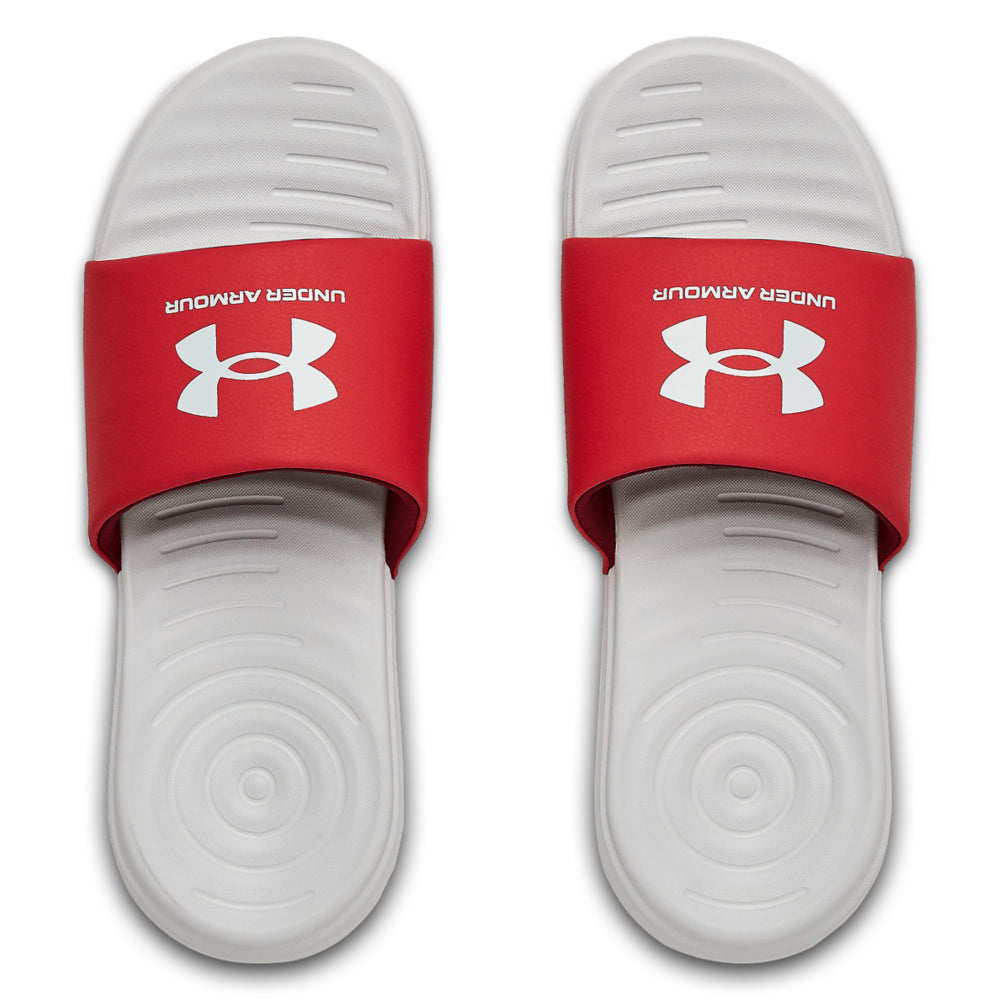 Halo Gray / Red