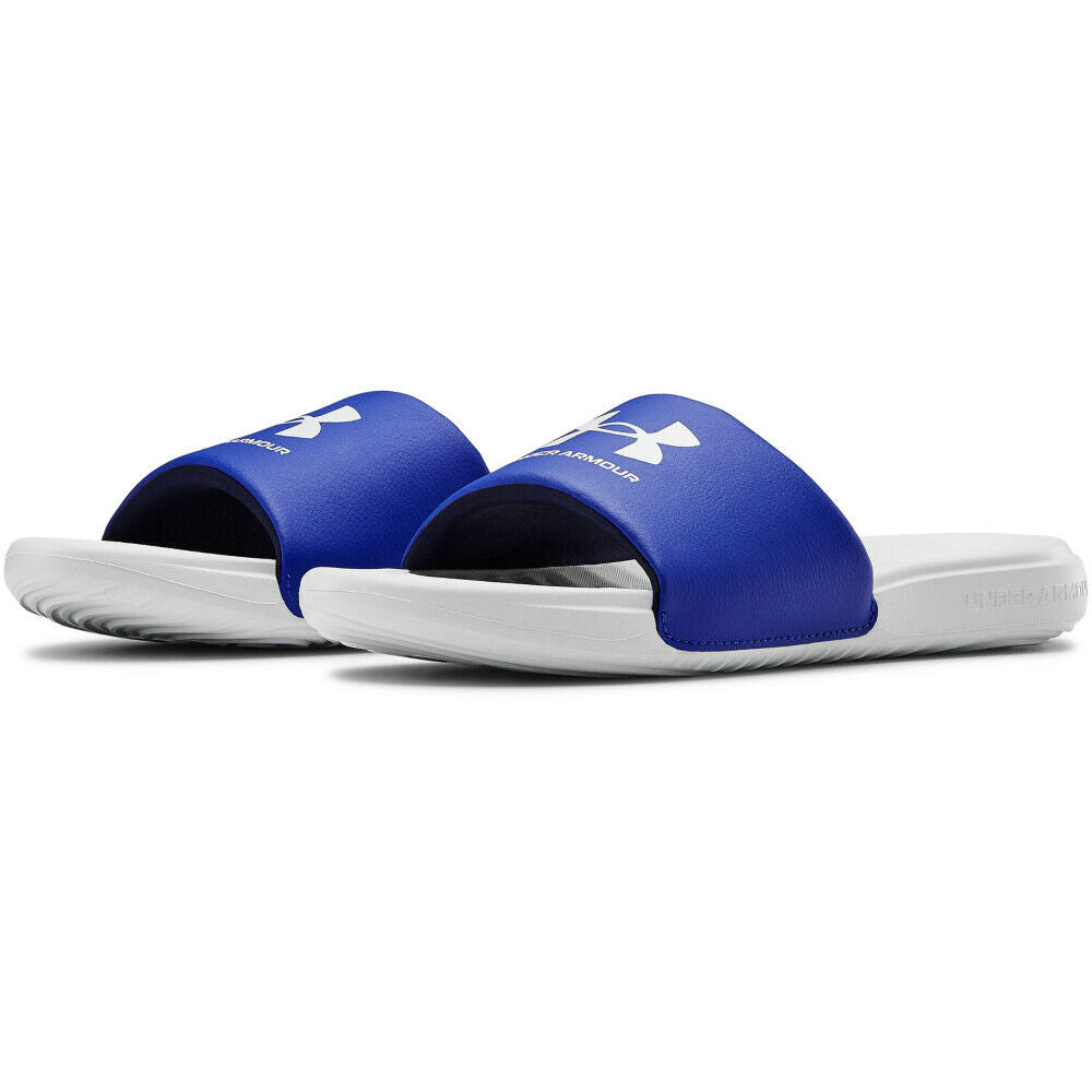 Halo Gray / Royal
