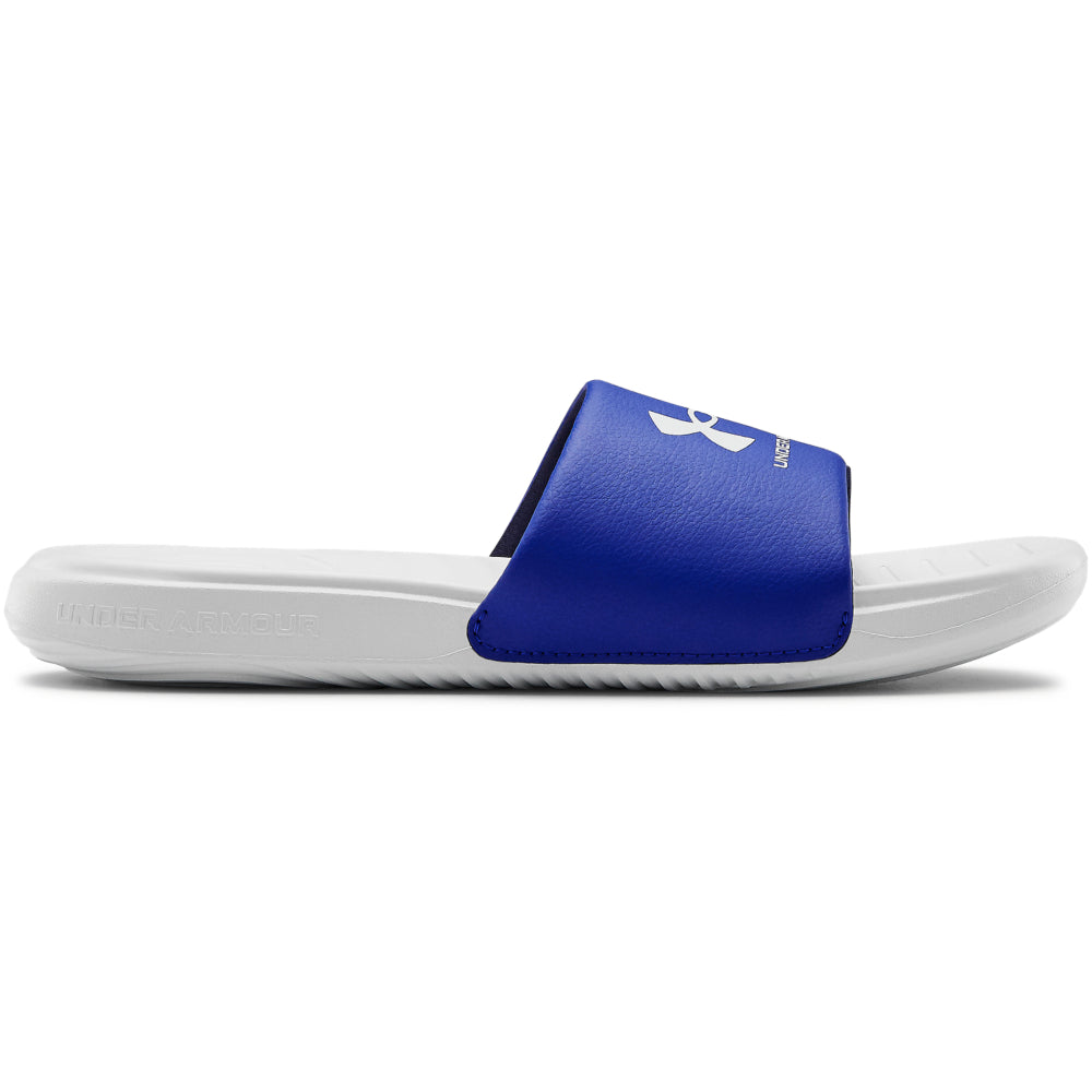 Halo Gray / Royal
