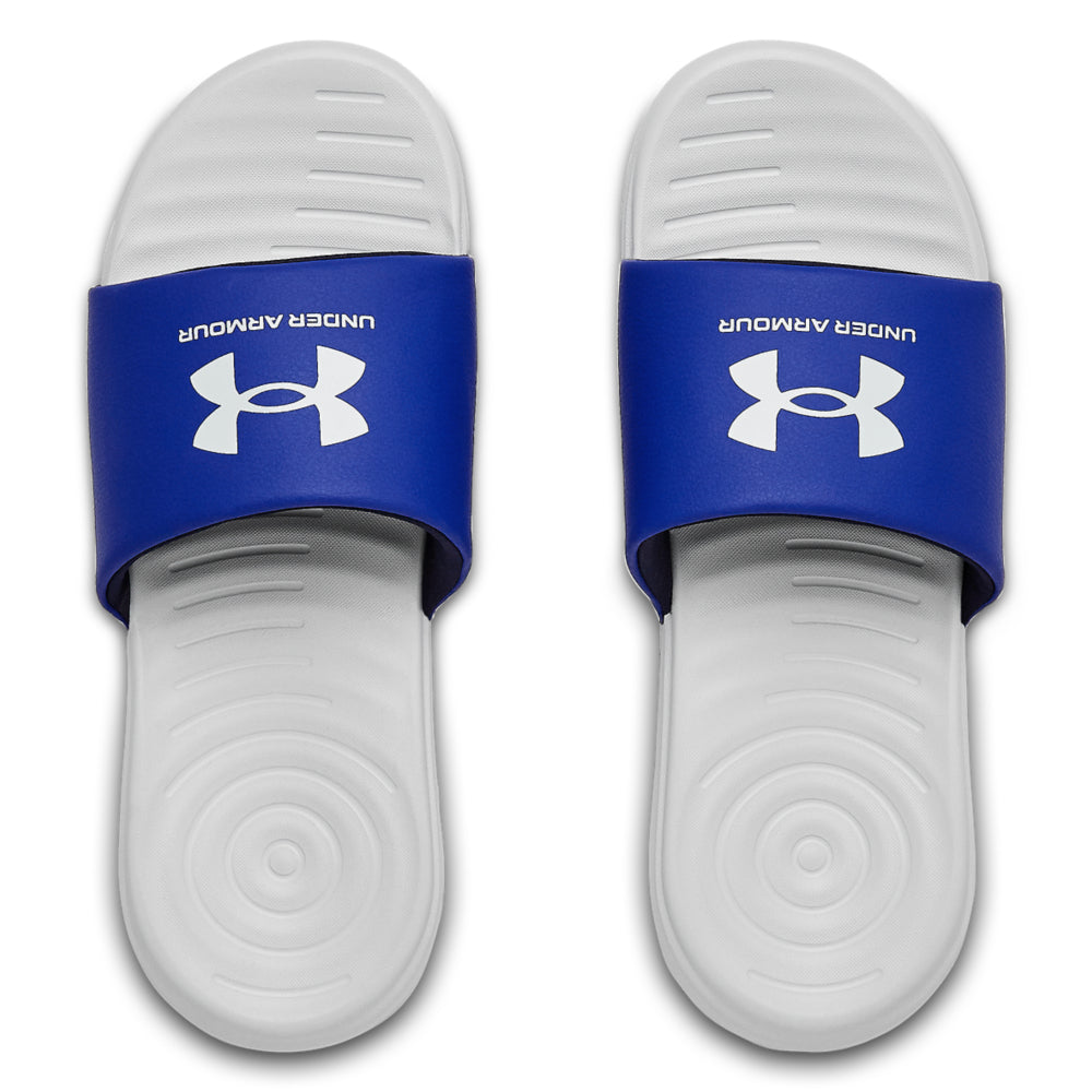 Halo Gray / Royal