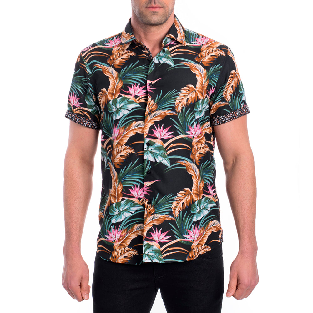 Black - Colorful Leaves