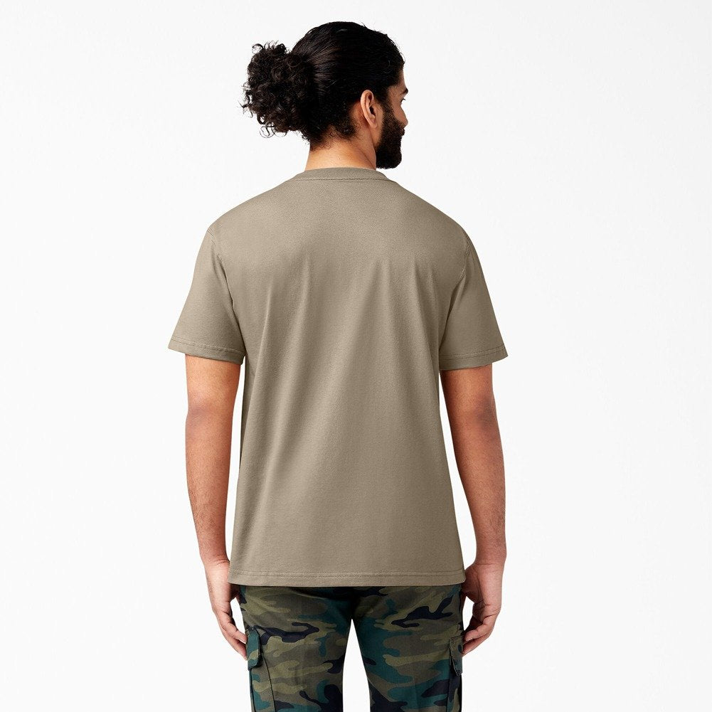 Desert Sand (DS)