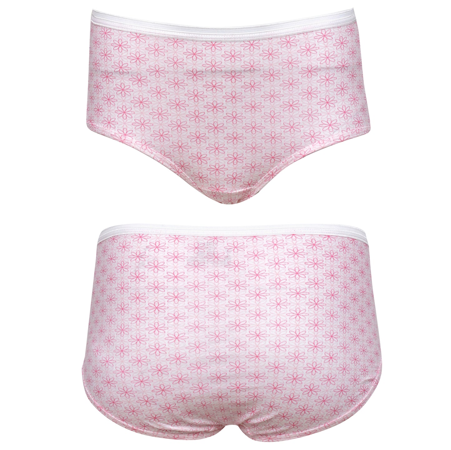 Fuchsia - Multi