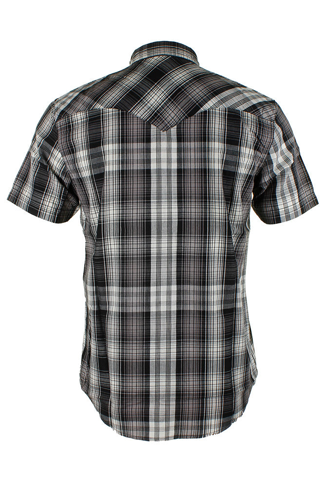 Black Grey