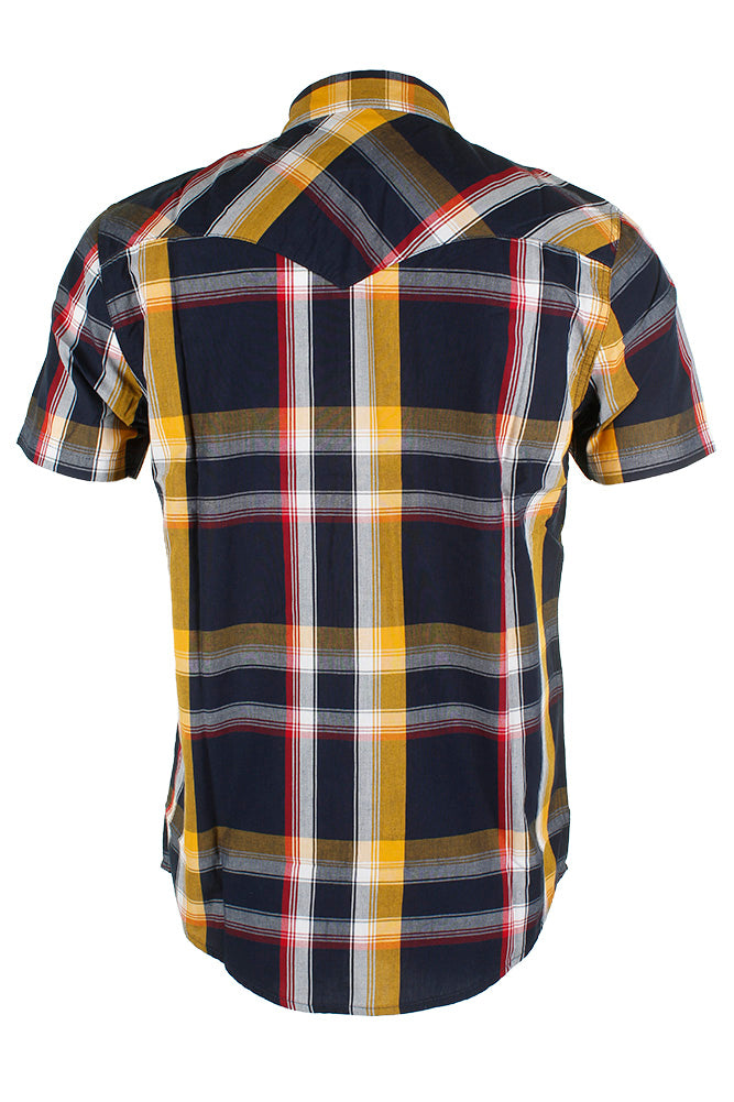 Navy Gold