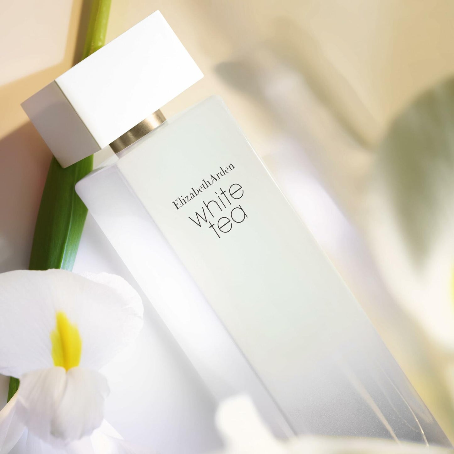 White Tea by Elizabeth Arden Eau De Toilette Spray 1 oz for Women