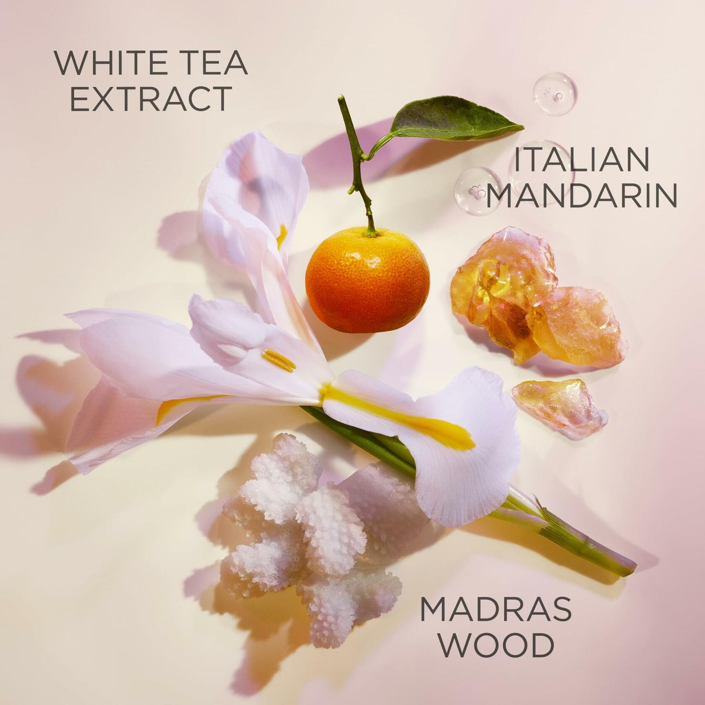 White Tea by Elizabeth Arden Eau De Toilette Spray 1 oz for Women