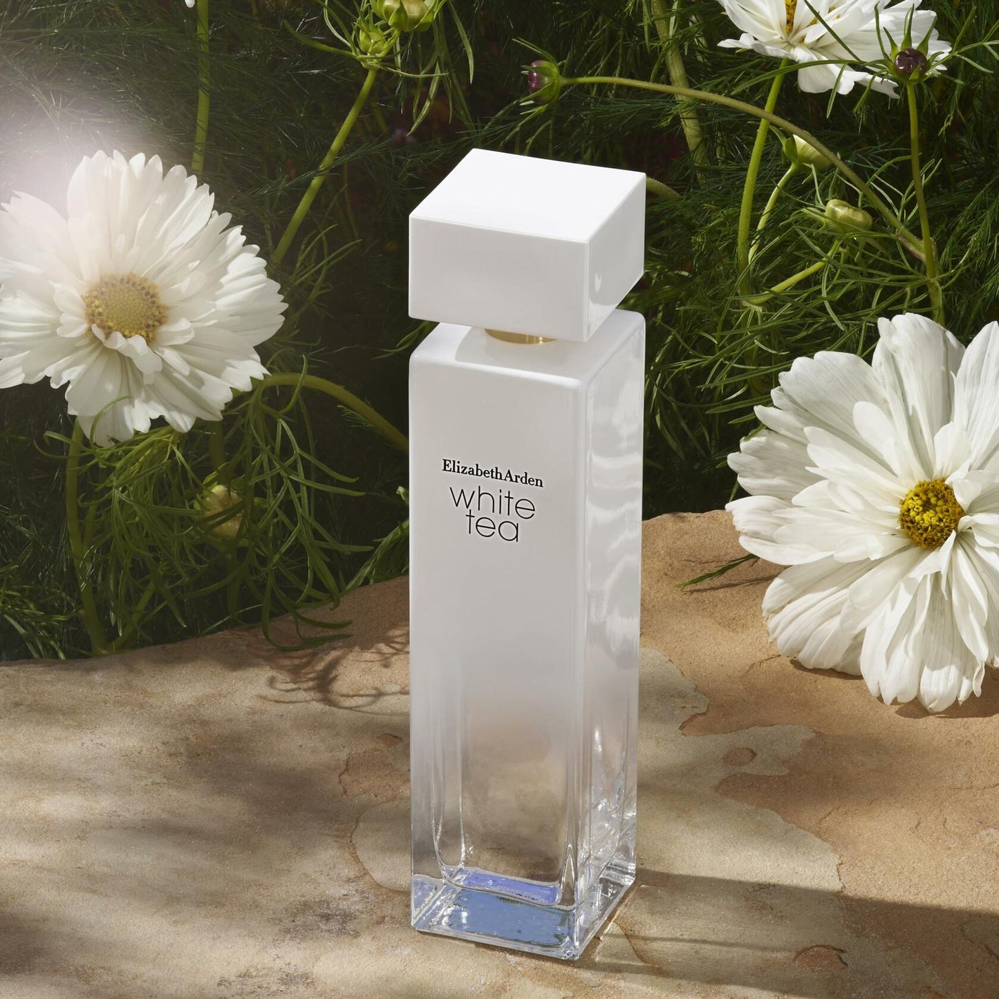 Elizabeth Arden White Tea Eau De Toilette Women's Perfume Spray, Floral Woody Scent, 1 fl oz