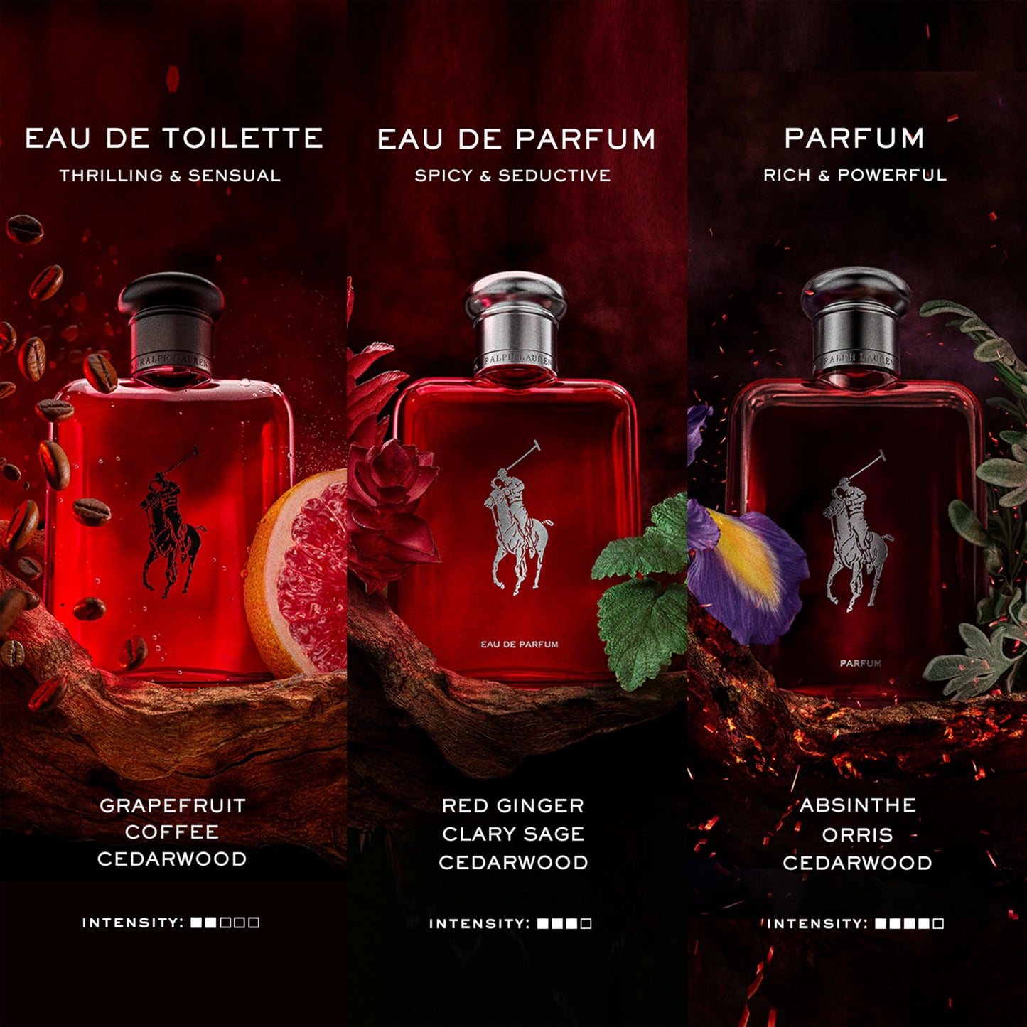 RALPH LAUREN FRAGRANCES Polo Red - Eau de Parfum - Men's Cologne - Woody & Spicy - With Ginger, Sage, and Cedarwood - Medium Intensity - 4.2 Fl Oz