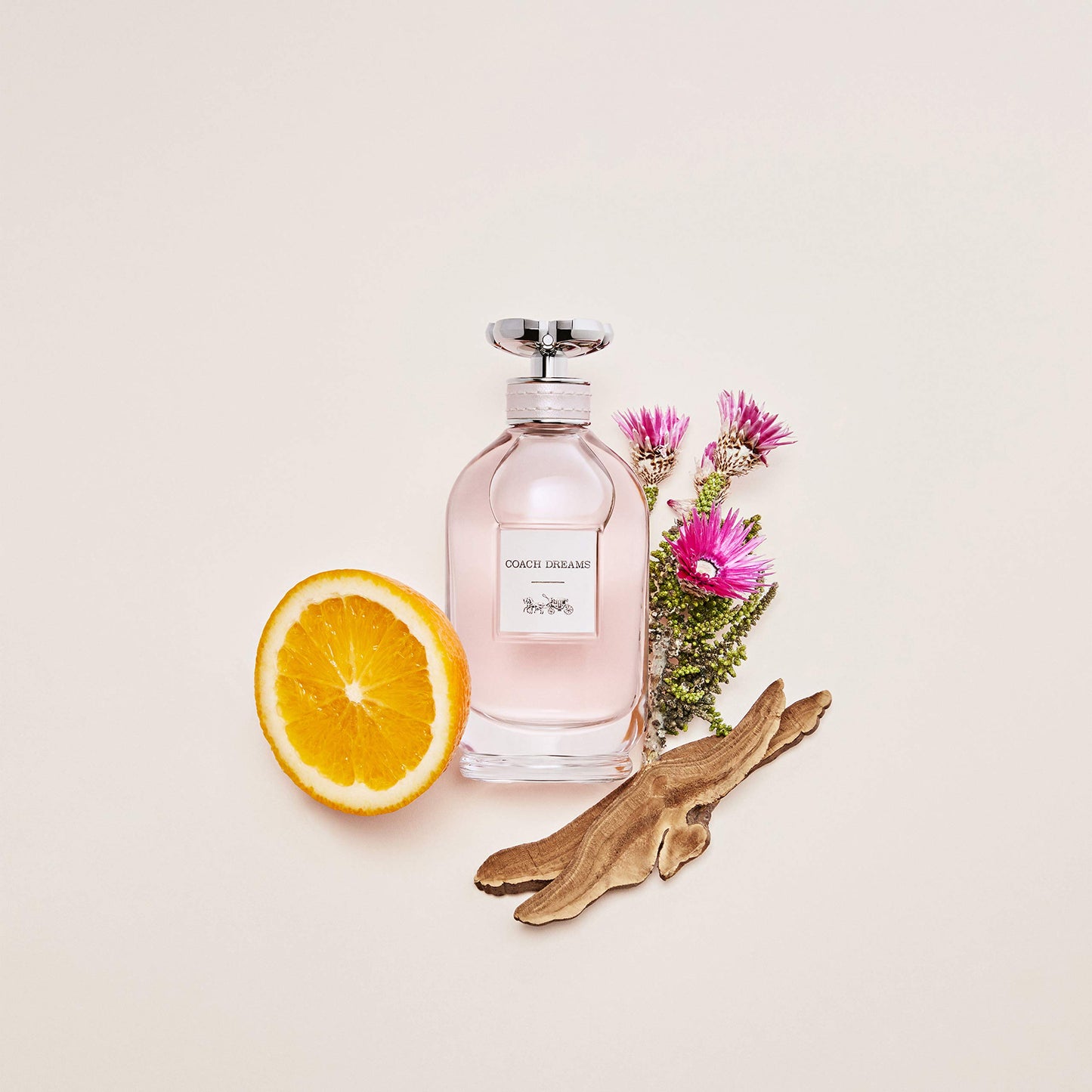 Coach Dreams Eau de Parfum Spray 2.0 fl Oz