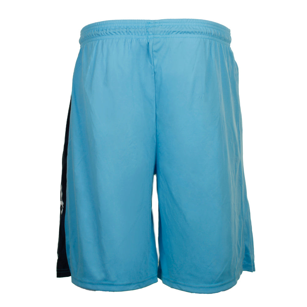 Swiss Blue