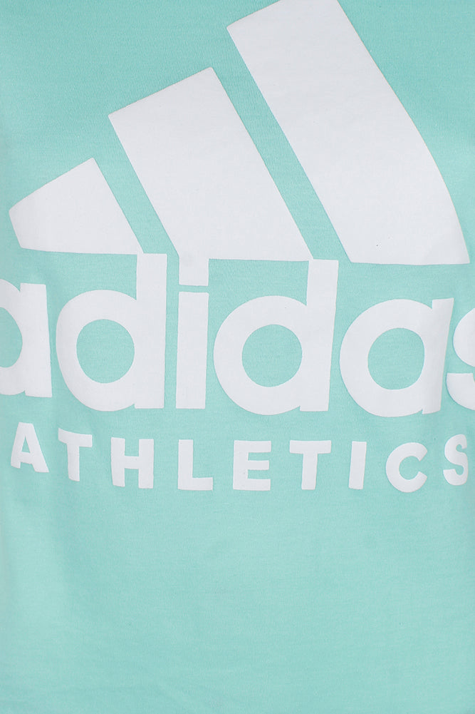 Aqua Green