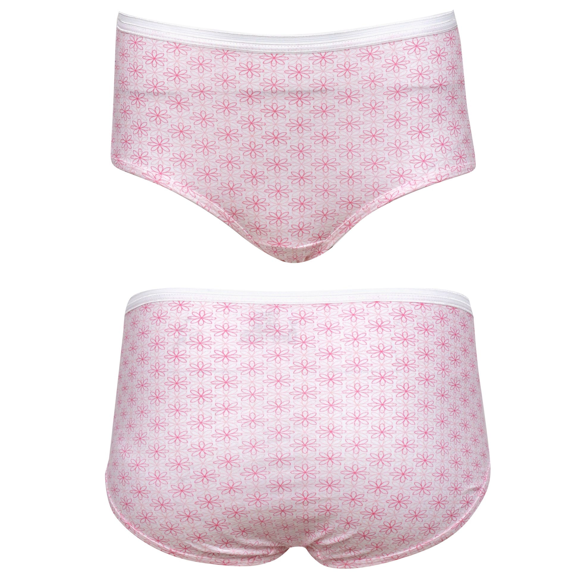 Fuchsia - Multi