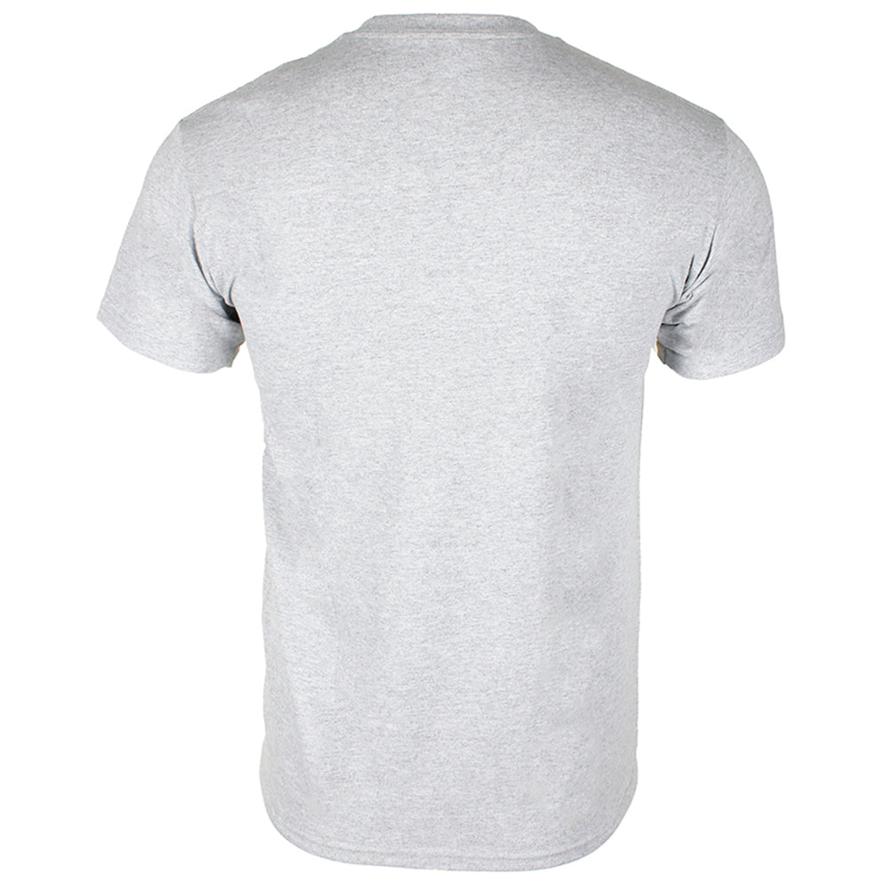 Grey - Blue Swoosh