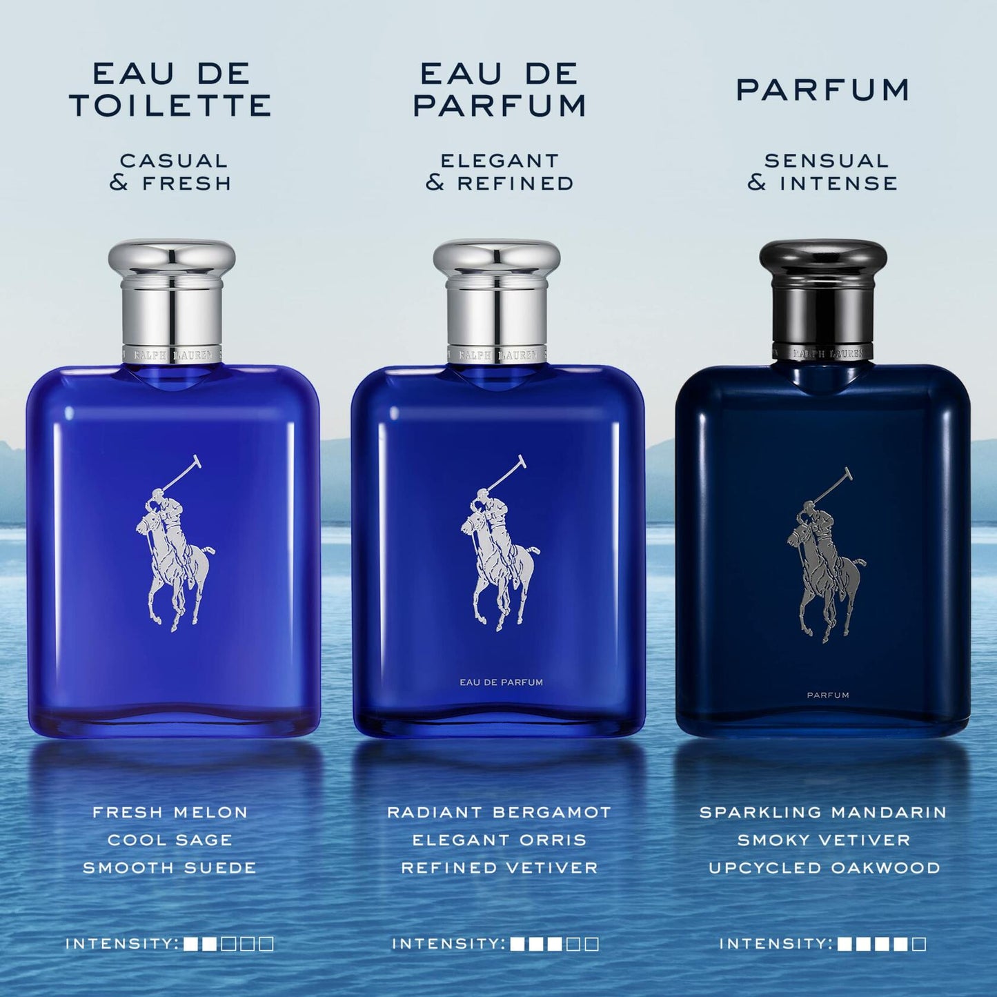 RALPH LAUREN FRAGRANCES Polo Blue - Parfum - Men's Cologne - Aquatic & Fresh - With Citrus, Oakwood, and Vetiver - Intense Fragrance - 2.5 Fl Oz