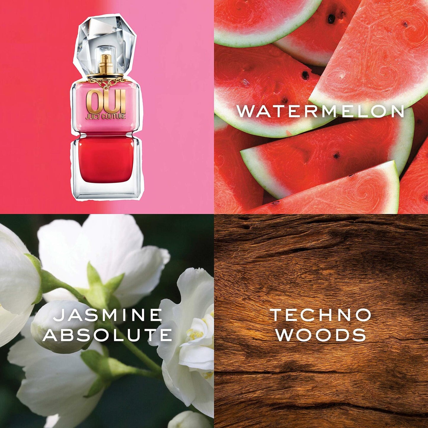 Juicy Couture Oui Eau De Parfum, Women's Perfume with Notes of Watermelon, Jasmine & Techno Woods - Fruity & Floral Perfume for Women, EDP Spray, 1.7 Fl Oz