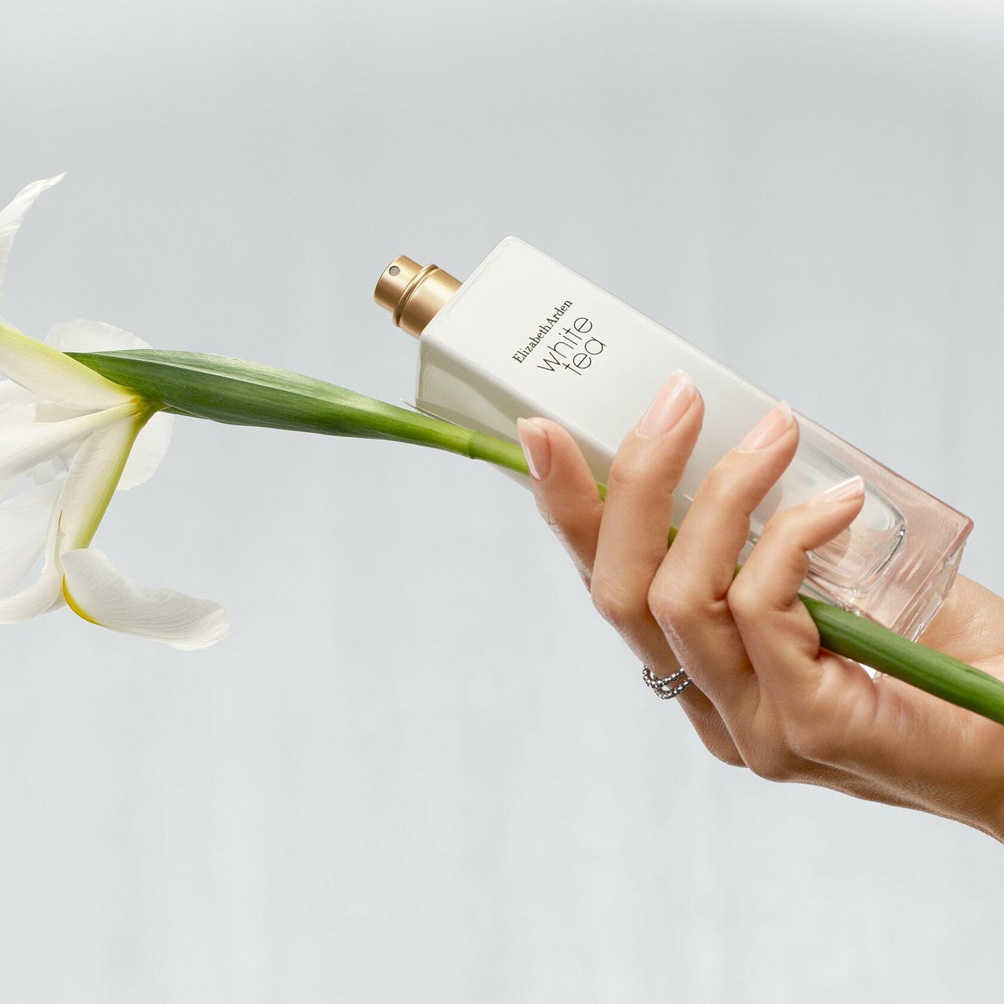Elizabeth Arden White Tea Two-Piece Set