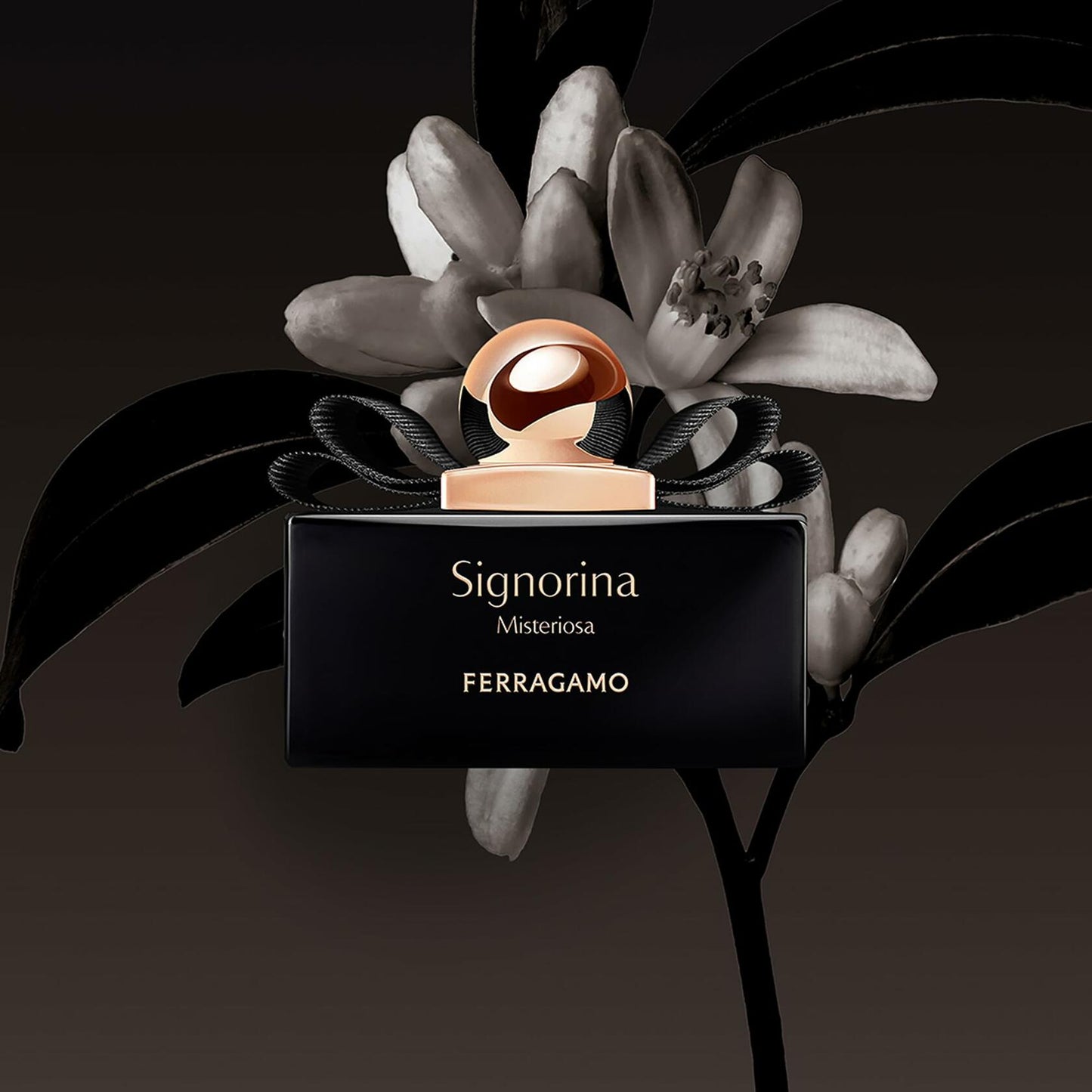 Ferragamo Signorina Misteriosa Eau de Parfum, Perfume Spray for Women, 3.4 Fl. Oz.