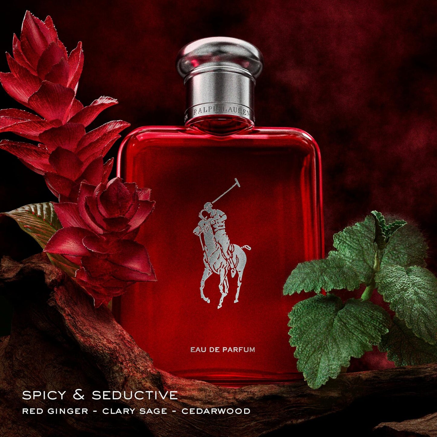RALPH LAUREN FRAGRANCES Polo Red - Eau de Parfum - Men's Cologne - Woody & Spicy - With Ginger, Sage, and Cedarwood - Medium Intensity - 4.2 Fl Oz