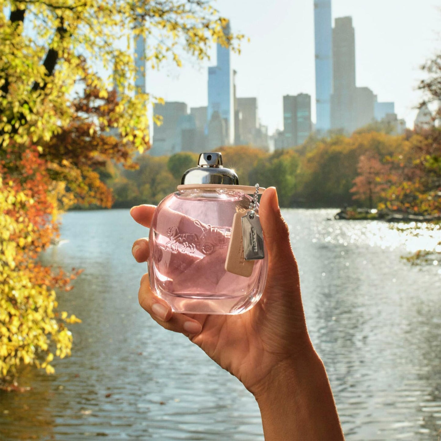 Coach Signature Eau de Toilette 1 FL Oz Spray