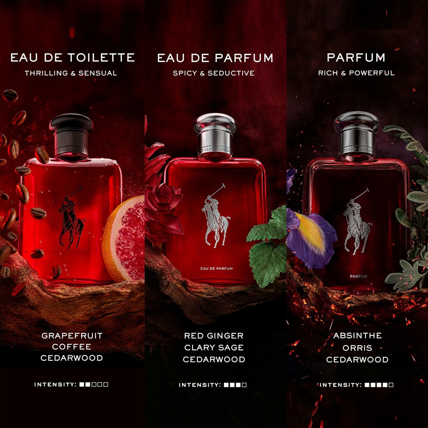 RALPH LAUREN FRAGRANCES Polo Red - Eau de Parfum - Men's Cologne - Woody & Spicy - With Ginger, Sage, and Cedarwood - Medium Intensity - 4.2 Fl Oz
