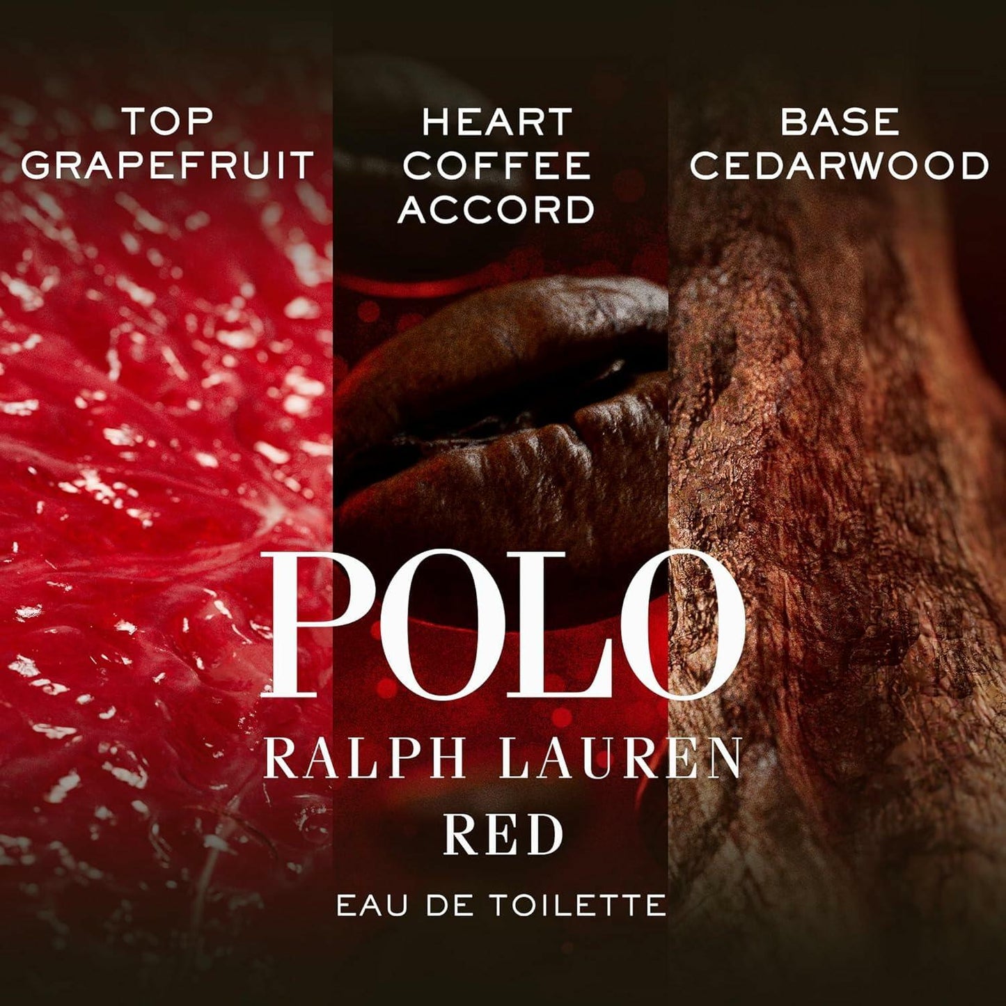 RALPH LAUREN FRAGRANCES Polo - Eau de Toilette - Men's Cologne - Woody & Spicy - With Pine, Patchouli, Leather, and Tobacco - Medium Intensity - 8 Fl Oz