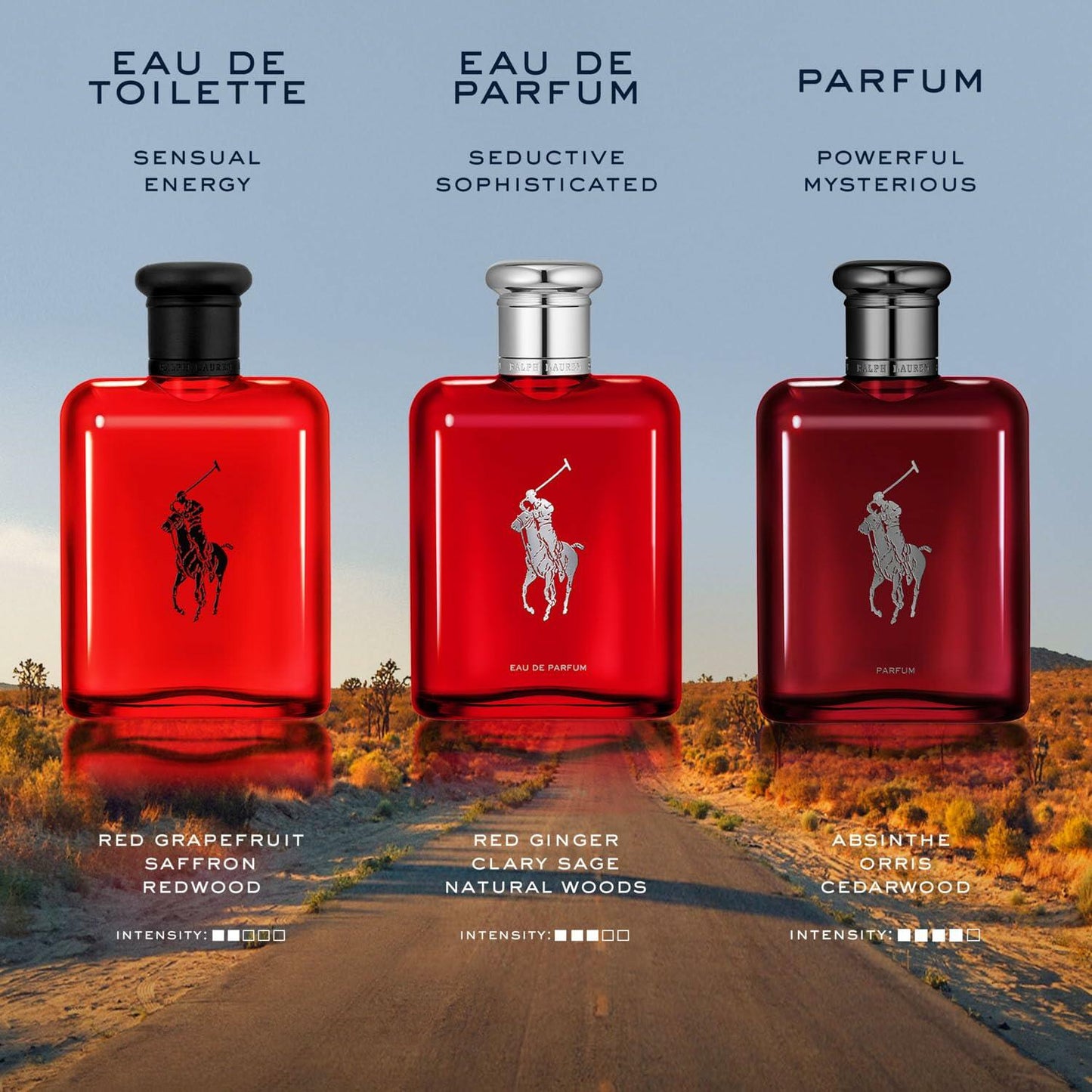 RALPH LAUREN FRAGRANCES Polo - Eau de Toilette - Men's Cologne - Woody & Spicy - With Pine, Patchouli, Leather, and Tobacco - Medium Intensity - 8 Fl Oz