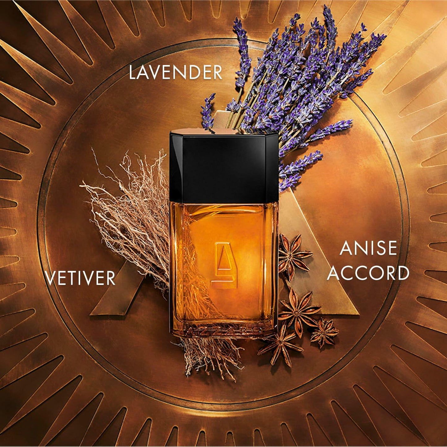 Azzaro Pour Homme Eau de Toilette - Sensual & Timeless Mens Cologne - Fougere, Aromatic & Woody Fragrance - Everyday Wear - Warm, Classic Scent - Luxury Perfumes for Men - Travel Size, 1.6 Fl. Oz