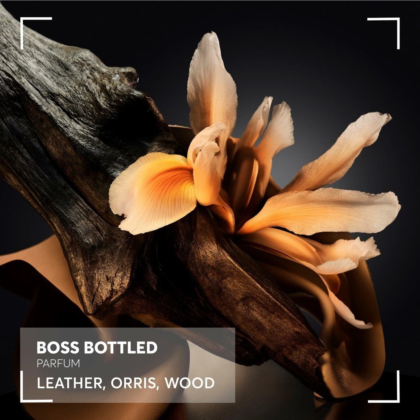 BOSS BOTTLED/HUGO BOSS PARFUM SPRAY 3.3 OZ (100 ML) (M)