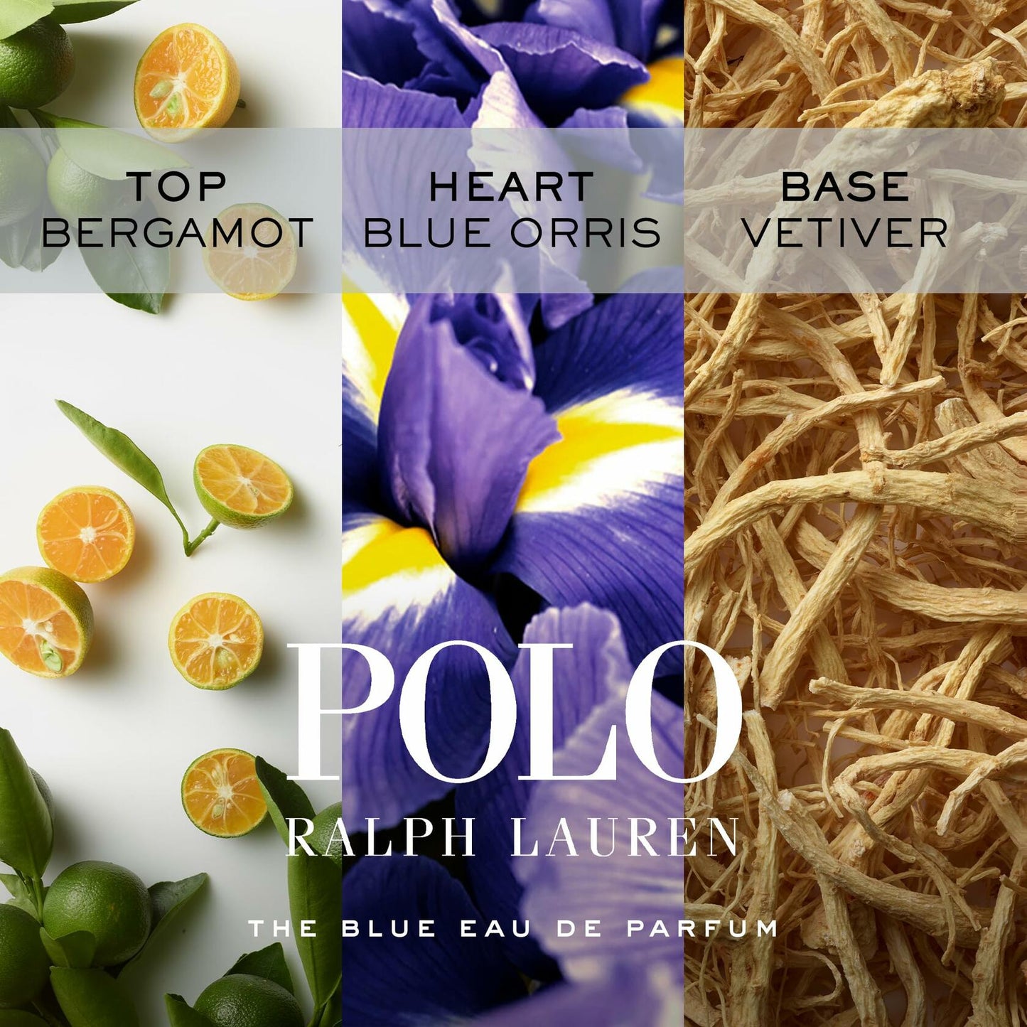RALPH LAUREN FRAGRANCES Polo Blue - Eau de Parfum - Men's Cologne - Aquatic & Fresh - With Citrus, Bergamot, and Vetiver - Medium Intensity - 4.2 Fl Oz