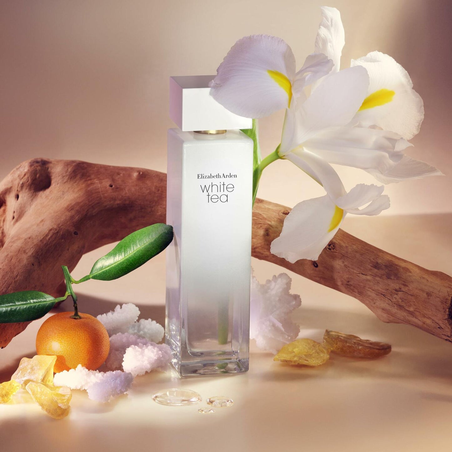 Elizabeth Arden White Tea Eau De Toilette Women's Perfume Spray, Floral Woody Scent, 1 fl oz