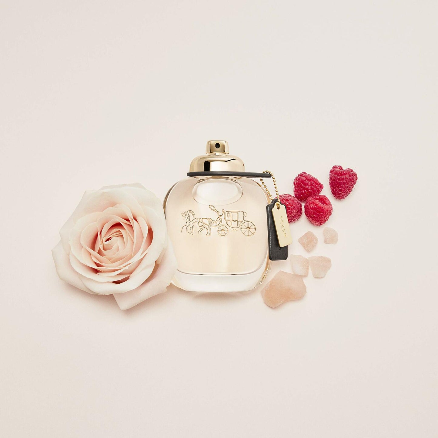 COACH Eau de Parfum Spray 3.0 fl oz
