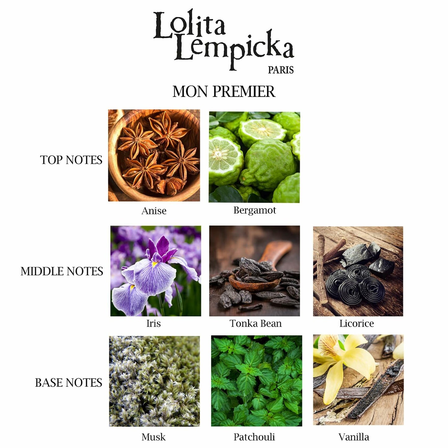 Lolita Lempicka Mon Premier Ladies - Eau De Parfum Spray - Floral, Fruity Gourmand - Ideal for Daily Wear and Special Events - 3.4 Oz