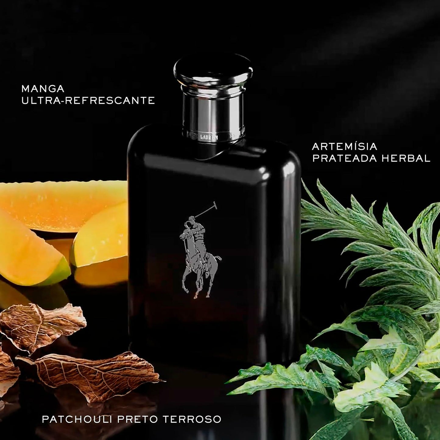 Ralph Lauren FRAGRANCES Polo Black - Eau de Toilette - Men's Cologne - Woody & Fresh - With Patchouli, Sandalwood, and Mandarin - Medium Intensity - 6.7 Fl Oz